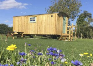 Honeysuckle Shepherd Huts